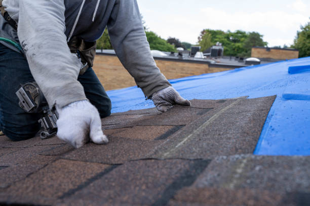 Professional Roofing Contractor in Milton, FL