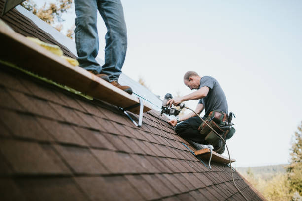 Best Roof Gutter Cleaning  in Milton, FL